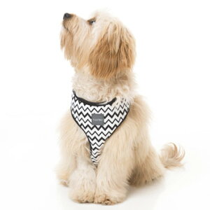 FuzzYard t@Y[h \tgn[lX OKOK p MTCYy[ցz