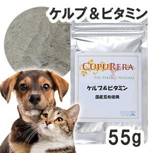 yKAizNv Pvr^~ Lp STCYi55gj y[ցz