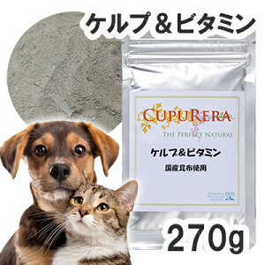 yKAizNv Pvr^~ Lp LTCYi270gj y[ցz