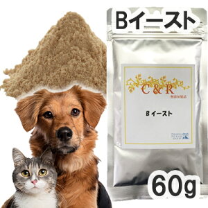 yKAizC&R BC[Xg Lp MTCY(60g)iESGJv_Ncj y[ցz