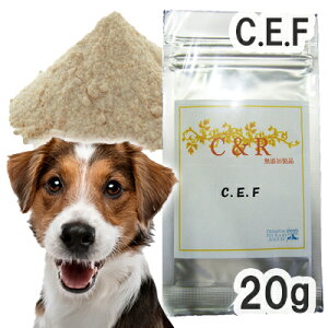 yKAizC&R C.E.F. p STCY(20g)iESGJv_Ncj y[ցz