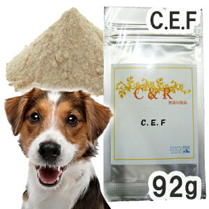 yKAizC&R C.E.F. p LTCY(92g)iESGJv_Ncj y[ցz