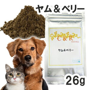 yKAizC&R &x[ Lp STCY(26g)iESGJv_Ncj y[ցz