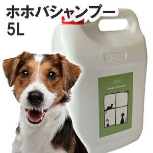 yKAizC&R zzoVv[ p 5Li5000mlj