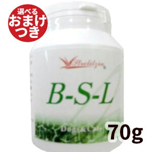 Xg`A B-S-L 70g
