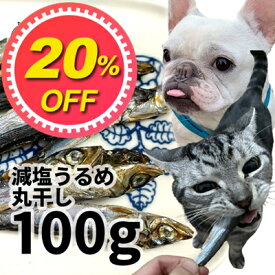 【20%OFF】無添加 おやつ 煮干 高知県産 減塩うるめ丸煮干し 犬猫用 100g ロゴスペット 煮干完全無添加 ヒューマングレード 無調味 無着色 保存料不使用 うるめいわし猫おやつ 犬用 トリーツ