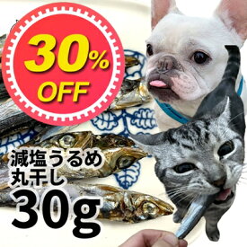 【30%OFF】おやつ 無添加 高知県産 減塩うるめ丸煮干し 犬猫用 30g ロゴスペット 煮干完全無添加 ヒューマングレード 無調味 無着色 保存料不使用 うるめいわし猫おやつ 犬用 トリーツ