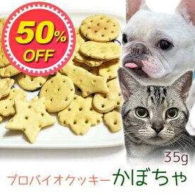 【50%OFF】【メール便】おやつ 無添加 国産 プロバイオクッキー かぼちゃ 35g ロゴスペット 犬猫用 シニア用 パピー 腸活 菌活 酵素ビスケット トリーツ