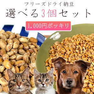 s yzy1000~|bL z Y YikCYj t[YhC[ Ђ/ۑ哤 Iׂ3Zbg SXybg p Lp L Lp