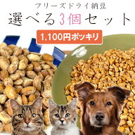 ※同梱不可 【初回限定】【1,100円ポッキリ送料無料】おやつ 無添加 国産（北海道産） フリーズドライ納…