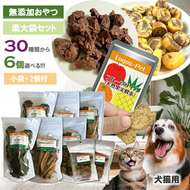 30種類から選べる やわらか おやつ&サプリ 大袋 6個セット シニア用 天然 犬用おやつ 猫用おやつ 大型多頭飼い 無添加 国産 サプリメント 柔らかい ささみ 豚耳 牛肉 とさか ササミ ペット用 ロゴスペット
