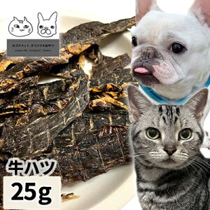  Y Y nc 25g y[ցz SXybg ps[ p Lp Lp ̂ p g[c