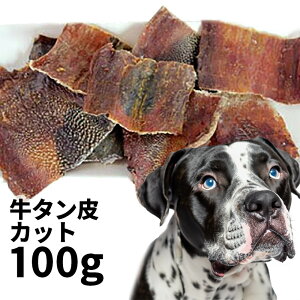  Y SXybg I[XgAY ^ Jbg p 100g SXybg  ̂ p K  d g[c