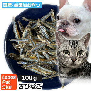 y20%OFFzY  ϊ Y тȂ ({茧Y) ϊ Lp 100g SXybg ϊSY q[}O[h  F ۑsgpL p g[c