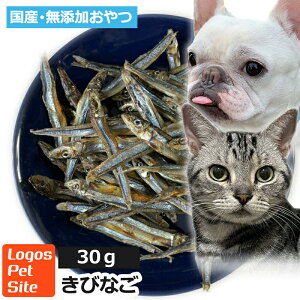  Y Y тȂ ({茧Y) ϊ Lp 30g y[ցz ϊSXybg SY q[}O[h  F ۑsgpL p