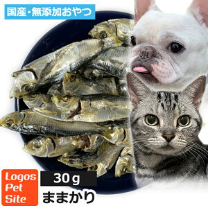 y30%OFFzY   Y ܂܂ (挧Y) ϊ Lp 30g SXybg SY ϊq[}O[h  F ۑsgpL p̂