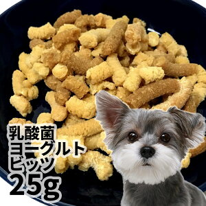  Y SY _ۃ[Ogrbc p 25g y[ցz SXybg p Lp VjAp `[Y [Og voCI _  Lp