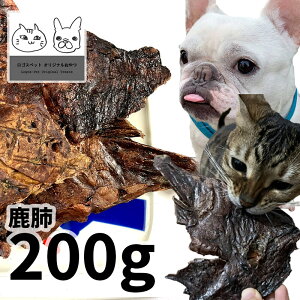 y20%OFFz Y Y x 200g SXybg  WrG p Lp L LpLp VjA n AM[ _炩 炩ySBAz