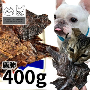 y20%OFFz Y Y x 400g SXybg WrG p Lp L LpLp VjA  n AM[ _炩 炩ySBAz