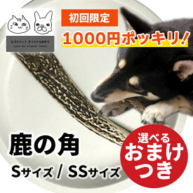 【初回限定】【1000円ポッキリ 送料無料】鹿の角 国産 犬用 選べる2サイズ（Sサイズ×1本/SSサイズ×2本） 無添加 歯磨き シカ おやつ オヤツ おもちゃ