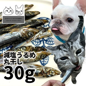 y20%OFFz Y mY ߊێϊ Lp 30g SXybg ϊSY q[}O[h  F ۑsgp ߂킵L p g[cySBAz