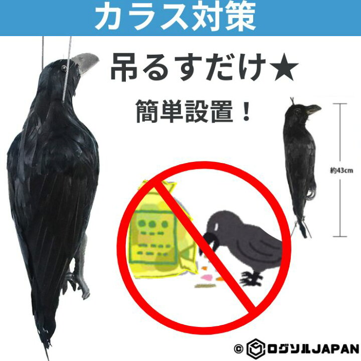 楽天市場】カラスよけ ゴミ箱 カラス撃退 ダミー 撃退グッズ カラス 