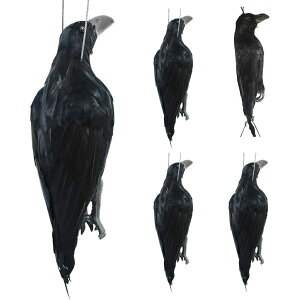 JX悯 S~ JX 5HZbg JX悯 JX悯 O\JAPAN  A _~[ { H  ݂邷 JX΍