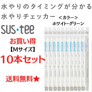 sustee `FbJ[ TXeB v TXeB[  v mTCY 10{ Zbg TXeB ϗt A   v `FbJ[ ϗtA  Aؔ  | A A A v^