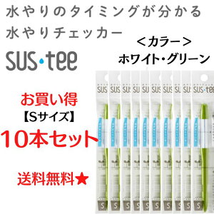 v `FbJ[ sustee TXeB[ STCY zCg O[ 10{Zbg  A ϗtAyZbgz v[gɂ