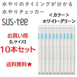`FbJ[ sustee TXeB v TXeB[  v lTCY ϗtA   `FbJ[ 10{ Zbg ϗt A  `FbJ[ y됅v Aؔ   A A v