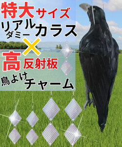 JX悯 S~ JX ΍ JX _~[ JXރObY [ JX悯Zbg  炷悯  悯 LL 悯`[ 悯ObY H x  