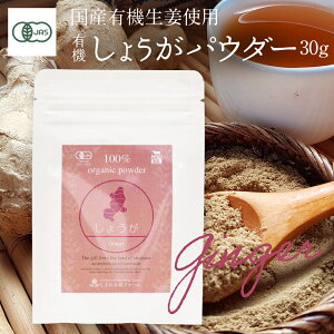 L@傤pE_[ 30g y[֑zWQ[ VEKI[L@JASF I[KjbN Y  ]KYg ܂˗L@t@[ Organic Ginger Powder 1 piece 30g