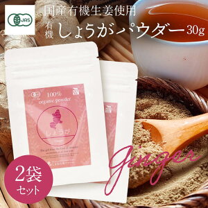 L@傤pE_[ 30g×2܃Zbgy[֑zWQ[ VEKI[ L@ JASF I[KjbN Y  ]KYg ܂˗L@t@[Organic Ginger Powder 1 piece 3