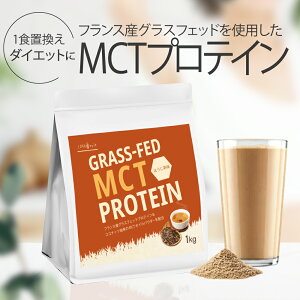 zGCveC 1kg yj[AɔLy[JÁz L@RRA ق v[ OXtFbh MCT MCTICpE_[ ARÖ gp zs