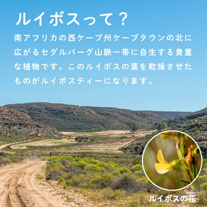 楽天市場】ルイボスティー 粉末 100g 3個セット(大容量200杯分×3個) ルイボスティ ルイボス茶 ルイボス ティー 茶 粉 ノンカフェイン LOHAStyle(ロハスタイル) : 糖質制限 専門店 LOHAStyle 楽天市場】ルイボスティー 粉末 100g 3個セット(大容量200杯分×3個) ルイボスティ ルイボス茶 ルイボス ティー 茶 粉 ノンカフェイン LOHAStyle(ロハスタイル) : 糖質制限 専門店 LOHAStyle