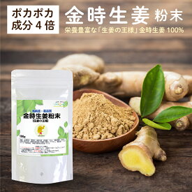 生姜 金時生姜 粉末 100g しょうが パウダー ジンジャー 生姜の王様 通常生姜の4倍以上のポカポカ成分 金時しょうが 生姜パウダー ショウガパウダー ロハスタイル LOHAStyle