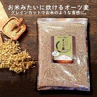 ＼期間限定10%OFF／ お米みたいに炊けるオーツ麦 900g オートミール グルテンフリー グレインカットオー…