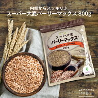 ＼期間限定10%OFF／ スーパー大麦 バーリーマックス 800g 食物繊維がもち麦の2倍 レジスタントスターチ …