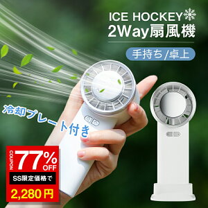_SS 77%OFF2280~^nfBt@ gѐ@ N[[ pv[g 3iK p[h ^@ nfB@ 莝@ ~j@ [dR[hX @ usb @ 