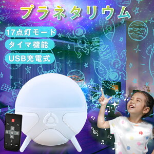 u17ޓetBt̃vl^E FϊledCgv󃉃CgX^[Cg ƒp lC Rt̏[diCgCg ^C}[