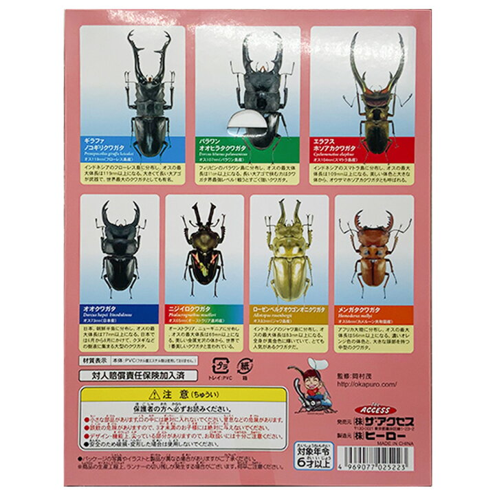 立体昆虫図鑑 世界のクワガタ リアルフィギュア 昆虫 送料無料 かわいい 昆虫