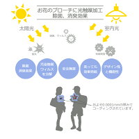 空気をキレイにするブローチ特徴