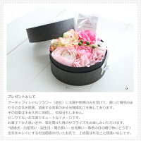 光触媒プチBOXピンクプレゼントとして