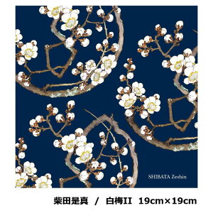  gV[ ɍב@ }CNt@Co[ N[jONX aA[gV[Y