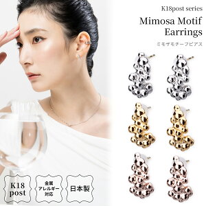 18 sAX AM[Ή k18|Xg { k18 18k ~U AJVA v` i I t[   Ԃ sNS[h Vv jbPt[ Vo[ S[h v[