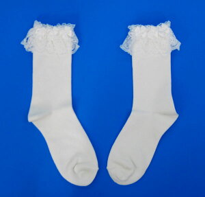 [X{t\bNX C C t ̎q ct wZ ʉ ʊw  w  w