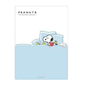 Xk[s[@PEANUTS@~@B5TCY@NbNX@Vw @킢 ObY