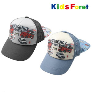 LbYLbv qp 56cm@ԕ @bVLbv@TCY\@ WjA Xq  w@ct@ۈ牀@wZ