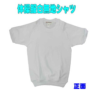 ̑ nVc ̑ Vc  c ̑ ^ sώ@ LbY c  w 125cm 130cm  |bv