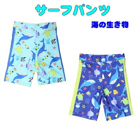 サーフパンツ　水着 　海の生き物柄 ZAZZY ZAPS 110cm～140cmプール 海 夏休み 海水浴 スイムパンツ 保育園 幼稚園 男の子